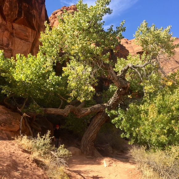 Happy to answer questions and to consider offers. - Picture 1 of 1